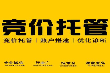 百度竞价排名策略解析：一家公司的广告投放策略全揭秘